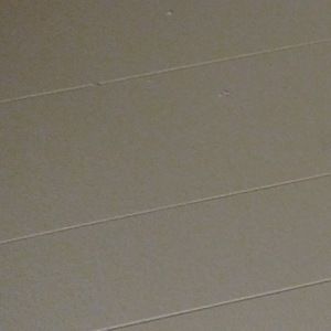 Meet your Posher, Daisy